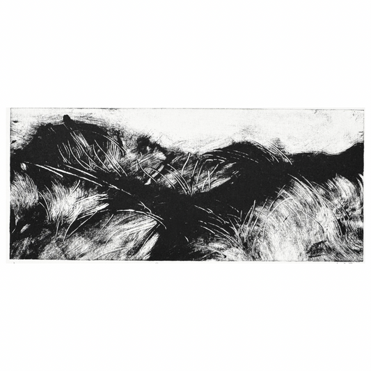 Niamh Spink ‘Dunes’ Monotype