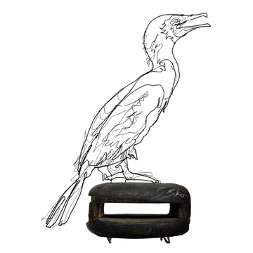 Ben Baker 'Cormorant' Wire Drawing