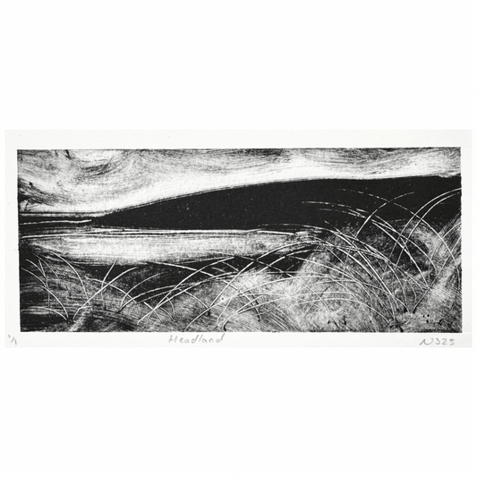 Niamh Spink ‘Headland’ Monotype