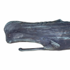 Jim Head Original Wooden Whale Sculpture