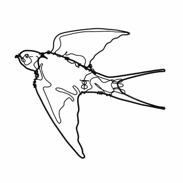 Ben Baker Bird Wire Drawing