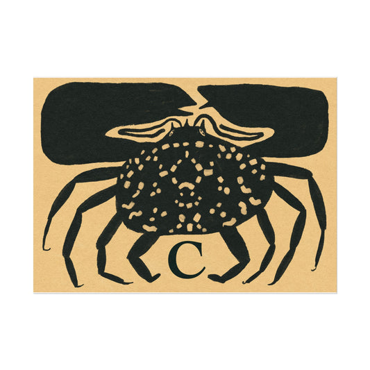 Tabby Booth Fine Art Print • C for Crab