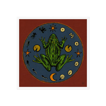 Katy Gusterson Fine Art Print • Frog Life Cycle