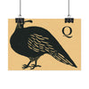 Tabby Booth Fine Art Print • Q for Quail