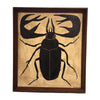 Tabby Booth Painting 'BEETLE' in Vintage Frame