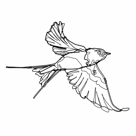Ben Baker Bird Wire Drawing