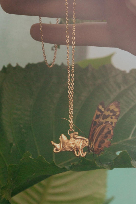 Tabby Booth X Rare Bear Jewellery • 24-Carat Gold Cricket Pendant