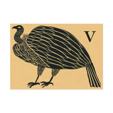 Tabby Booth Fine Art Print • V for Vulture