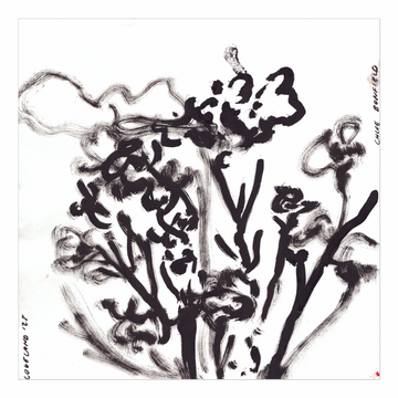 Chloe Bonfield Original Painting On Paper