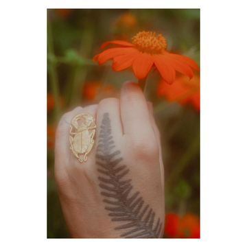 Tabby Booth X Rare Bear Jewellery • Brass Beetle Ring