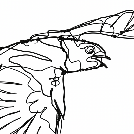 Ben Baker Bird Wire Drawing