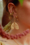 Tabby Booth X Rare Bear Jewellery • 24-Carat Gold Moth Earrings