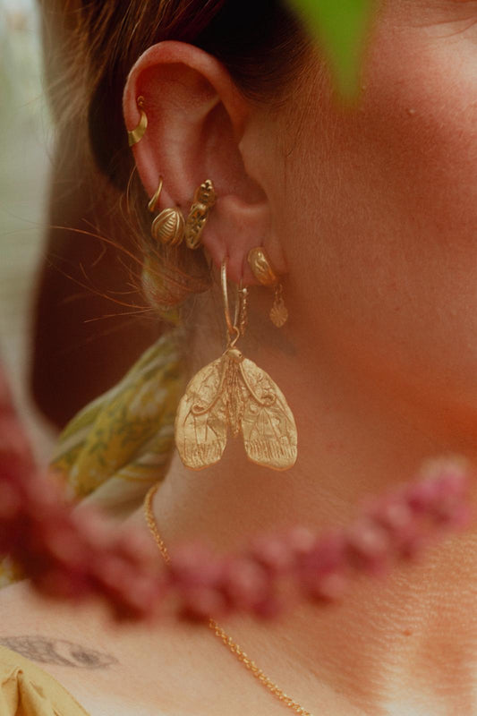 Tabby Booth X Rare Bear Jewellery • 24-Carat Gold Moth Earrings