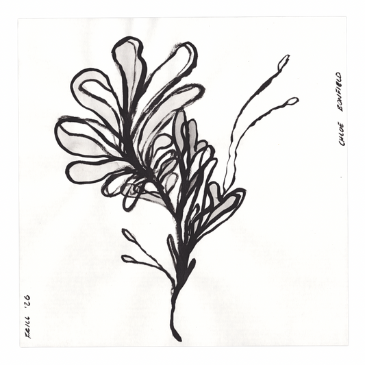 Chloe Bonfield Original Painting On Paper