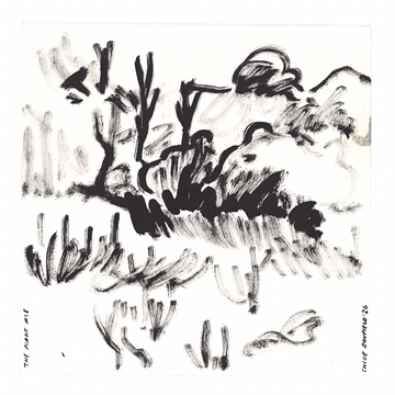 Chloe Bonfield Original Painting On Paper