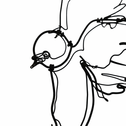 Ben Baker Bird Wire Drawing