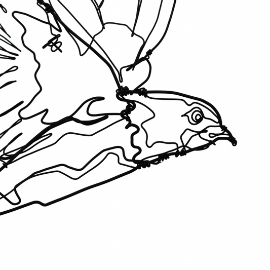 Ben Baker Bird Wire Drawing