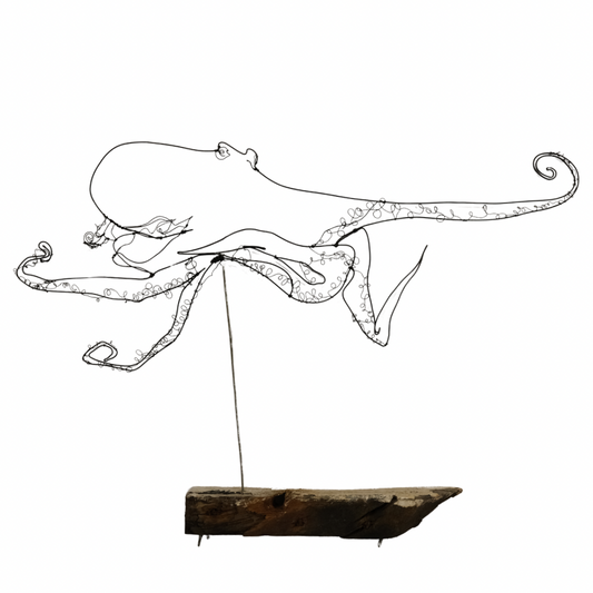 Ben Baker Octopus Wire Drawing On Plinth