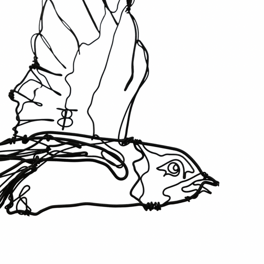 Ben Baker Bird Wire Drawing