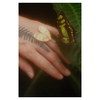 Tabby Booth X Rare Bear Jewellery • 24-Carat Gold Moth Ring
