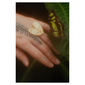 Tabby Booth X Rare Bear Jewellery • 24-Carat Gold Moth Ring