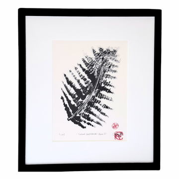Clementine Neild Original Monotype in Frame • Trebah Sketchbook: Fern 5