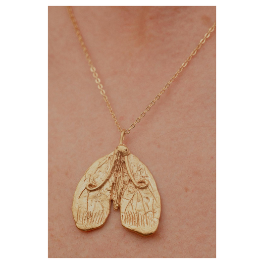Tabby Booth X Rare Bear Jewellery • Brass Moth Pendant