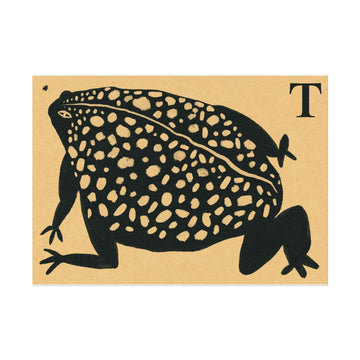 Tabby Booth Fine Art Print • T for Toad