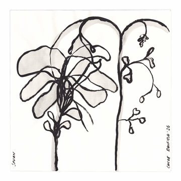 Chloe Bonfield Original Painting On Paper