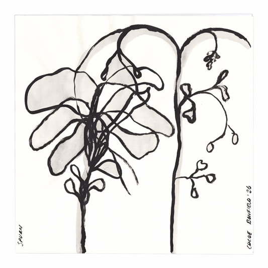 Chloe Bonfield Original Painting On Paper