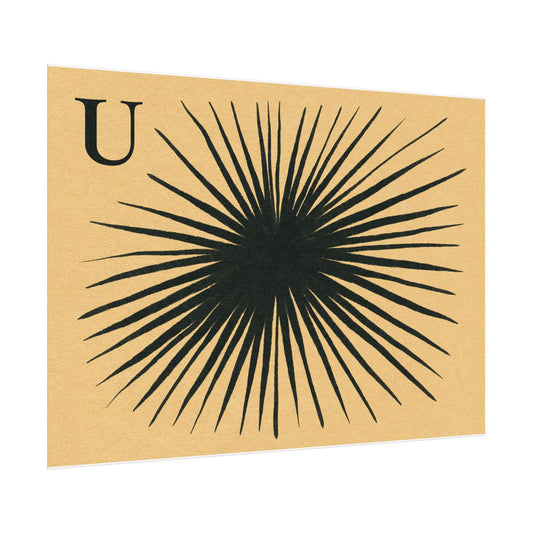 Tabby Booth Fine Art Print • U for Urchin