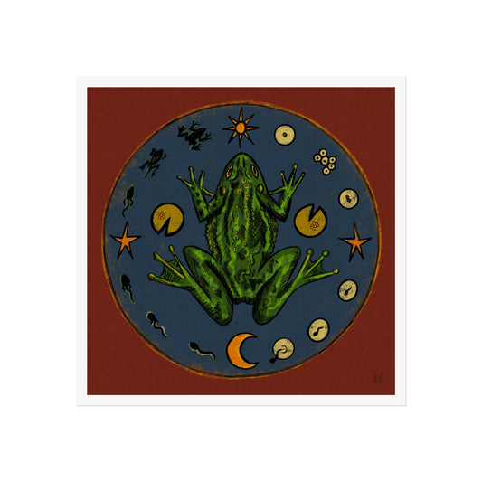 Katy Gusterson Fine Art Print • Frog Life Cycle