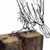 Ben Baker Bird Wire Drawing On Plinth • Large Cormorant