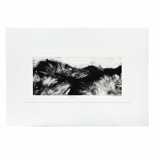 Niamh Spink ‘Dunes’ Monotype