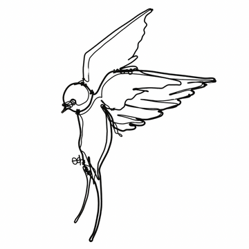 Ben Baker Bird Wire Drawing