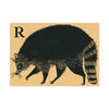 Tabby Booth Fine Art Print • R for Racoon