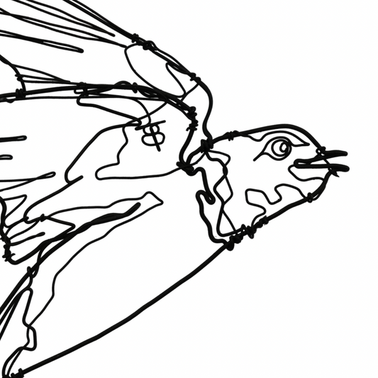 Ben Baker Bird Wire Drawing