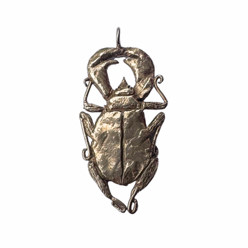 Tabby Booth X Rare Bear Jewellery • Brass Beetle Pendant