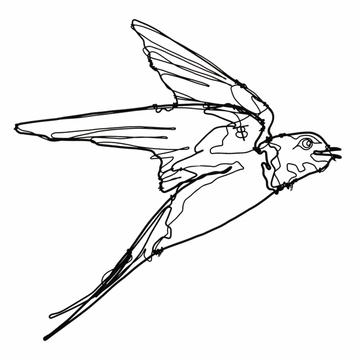 Ben Baker Bird Wire Drawing