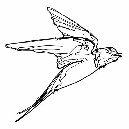 Ben Baker Bird Wire Drawing