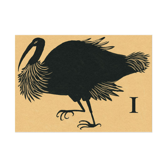 Tabby Booth Fine Art Print • I for Ibis