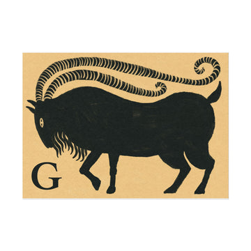 Tabby Booth Fine Art Print • G for Goat