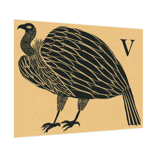 Tabby Booth Fine Art Print • V for Vulture