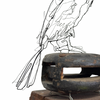 Ben Baker 'Cormorant' Wire Drawing