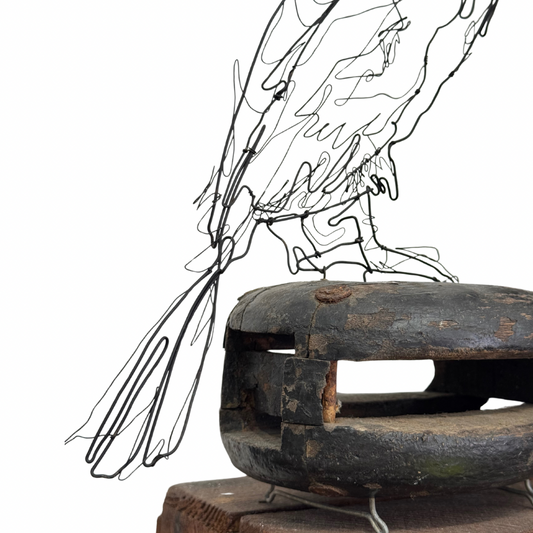 Ben Baker 'Cormorant' Wire Drawing