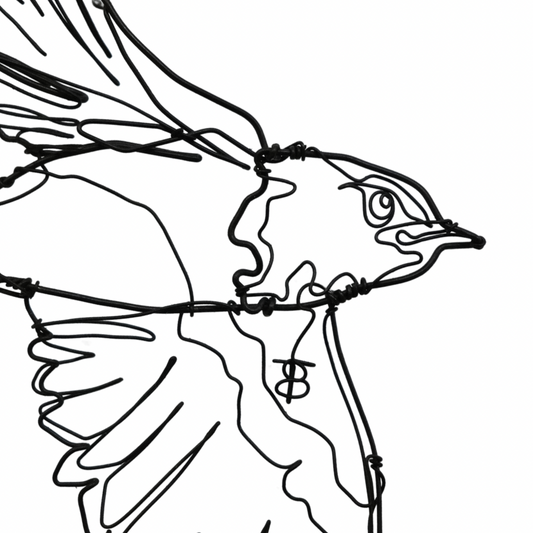 Ben Baker Bird Wire Drawing