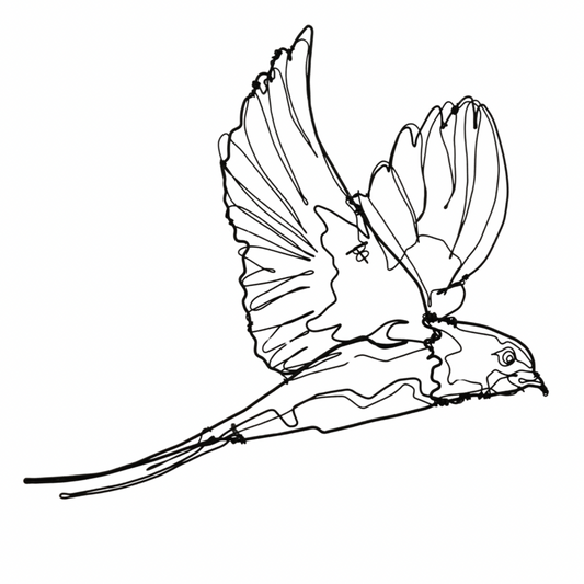 Ben Baker Bird Wire Drawing