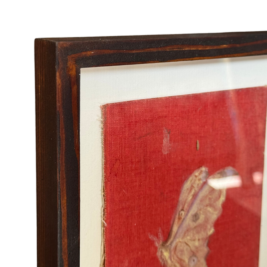 Georgia Parkin-Jones Original Painting on Book Cover • Luna Moth