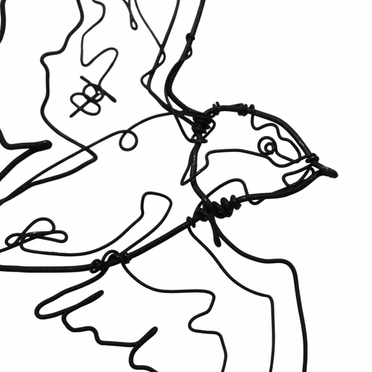 Ben Baker Bird Wire Drawing
