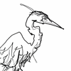 Ben Baker Bird Wire Drawing On Plinth • Heron